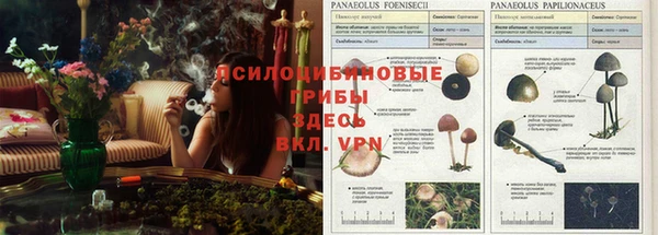 каннабис Абдулино