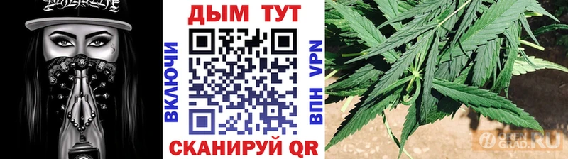МАРИХУАНА конопля  Сураж 